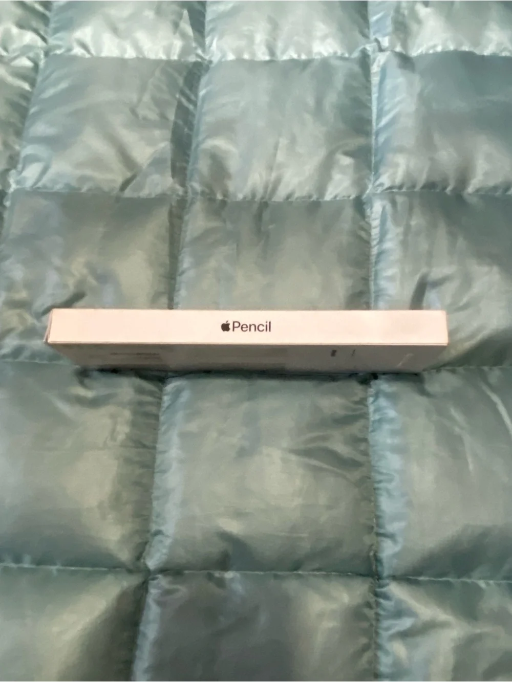 Apple Pencil (White) - USB-C Pencil Stylus in Box. Retail $100